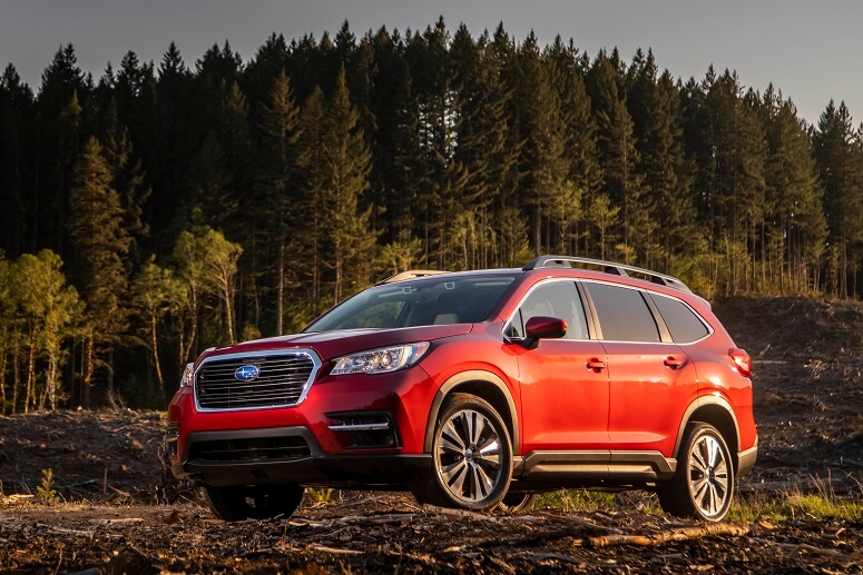 סובארו איוולטיס סובארו איוולטיס